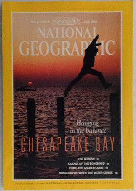 National Geographic Magazine Vol 183 No 6, June 1993 Chesapeake Bay - The Iceman - Silence Of The Songbirds - Corn, The Golden Grainâ€¦