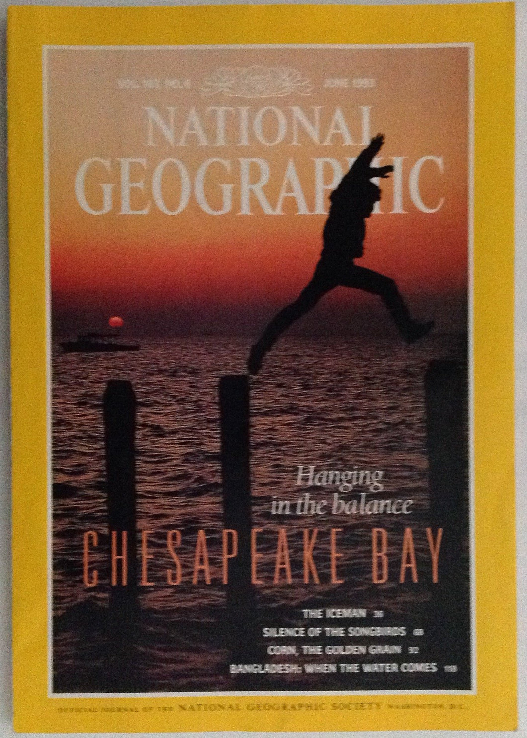 National Geographic Magazine Vol 183 No 6, June 1993 Chesapeake Bay - The Iceman - Silence Of The Songbirds - Corn, The Golden Grainâ€¦