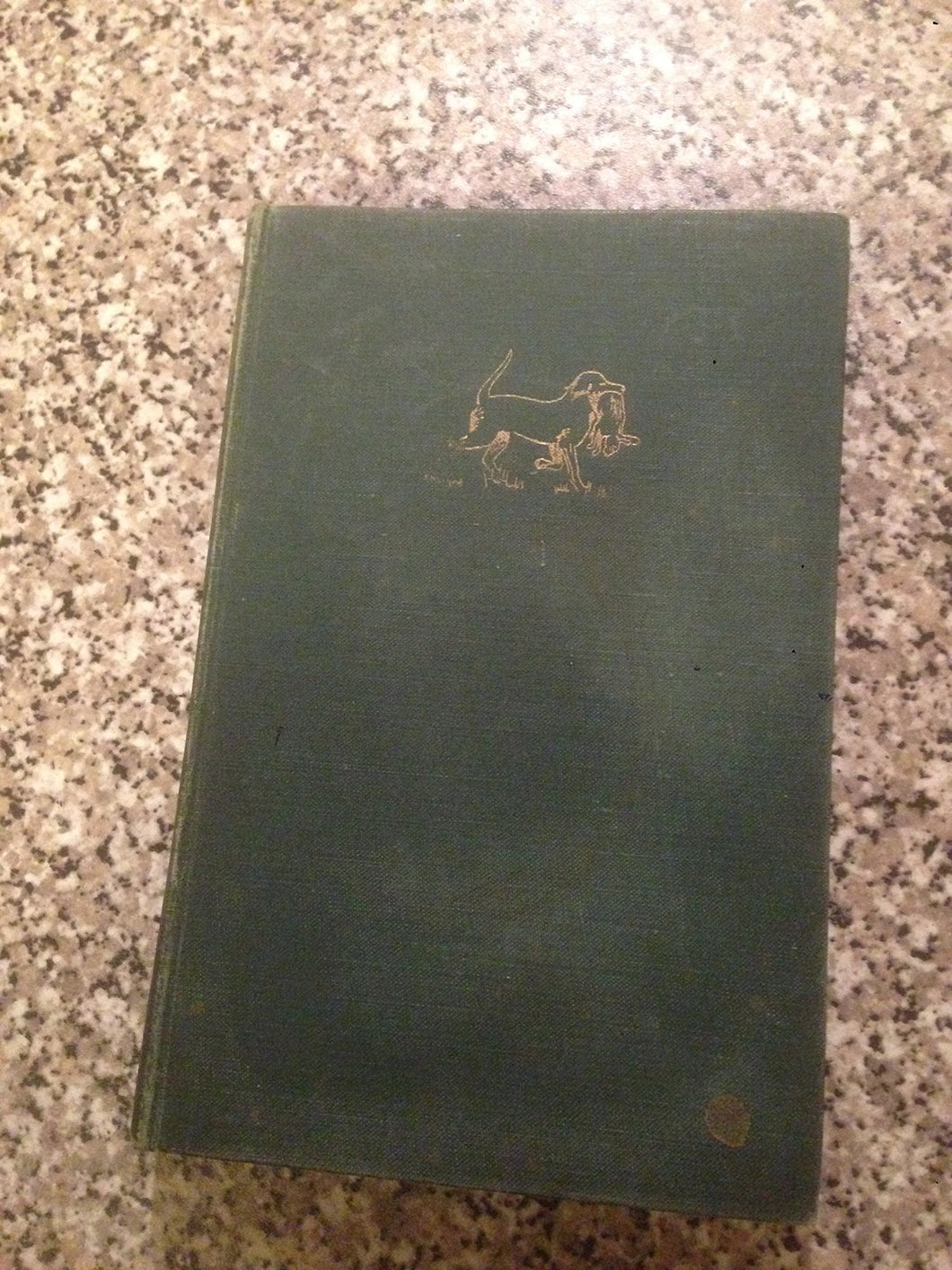 Gundogs: Training and field trials