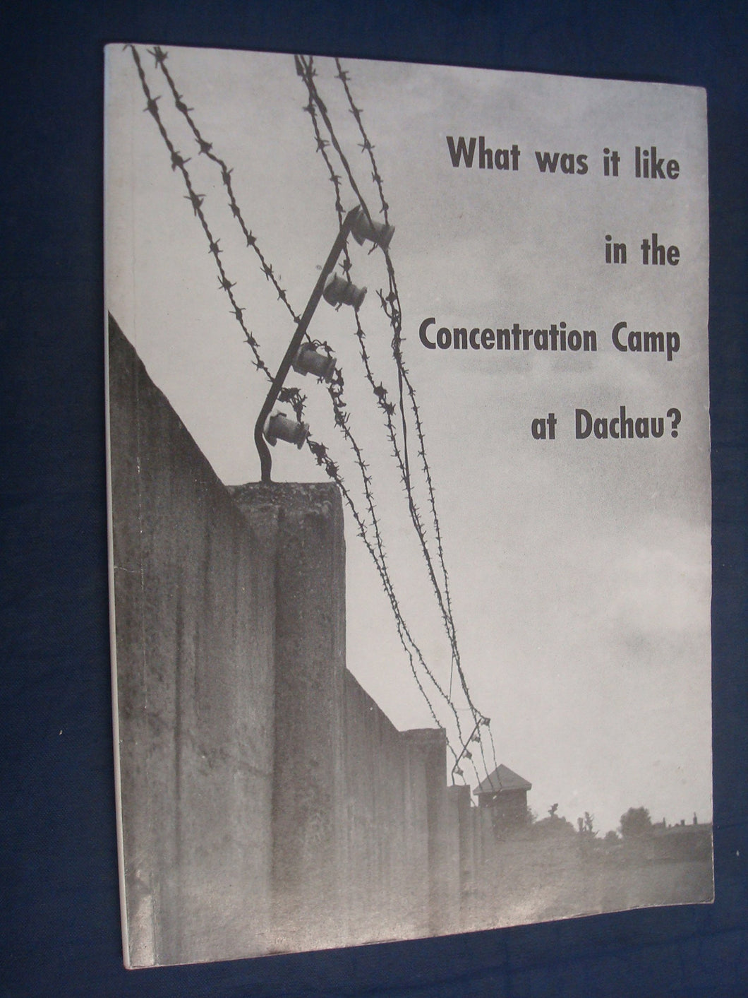 What Was it Like in the Concentration Camp at Dachau?