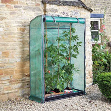 Load image into Gallery viewer, Tomato GroZone - Tomato growing green house. 1.5m x 1m x 0.4m

