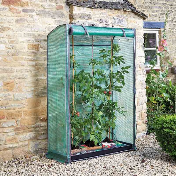 Grozone Tomato (tall vegetable)  growing greenhouse - Smart Garden - 150cm x 100cm x 40cm
