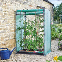 Load image into Gallery viewer, Tomato GroZone Max - Tomato growing greenhouse - 1.5m x 1m x 0.8m Duel opening. (Two growbag sized)
