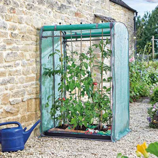 Tomato GroZone Max - Tomato growing greenhouse - 1.5m x 1m x 0.8m Duel opening. (Two growbag sized)