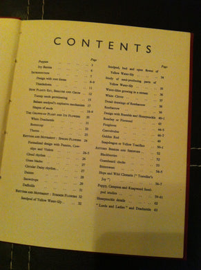 how to draw wild flowers [Hardcover] Temple, Vere