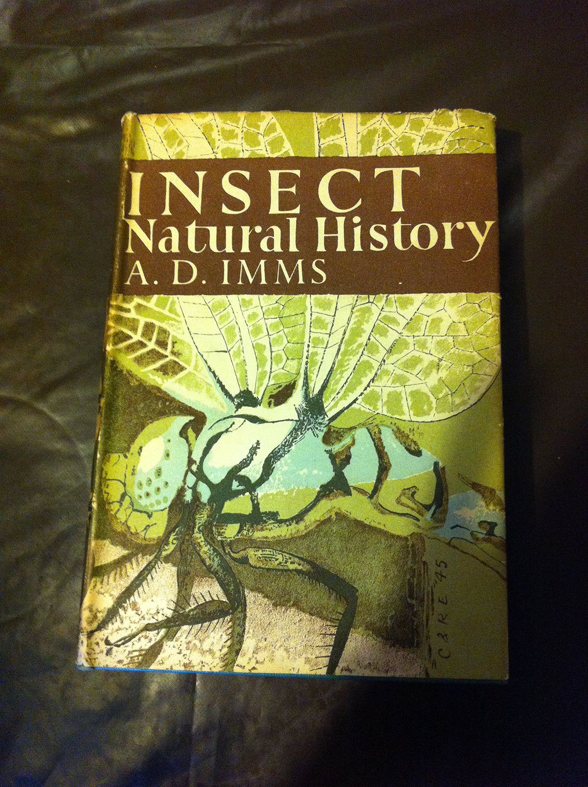 Insect Natural History [Hardcover] A D Imms