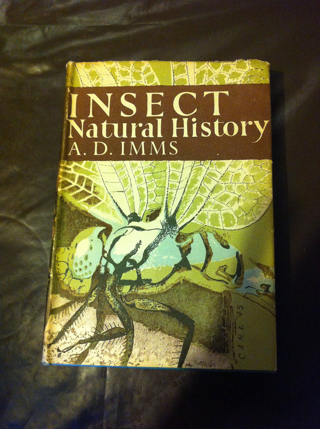 Insect Natural History