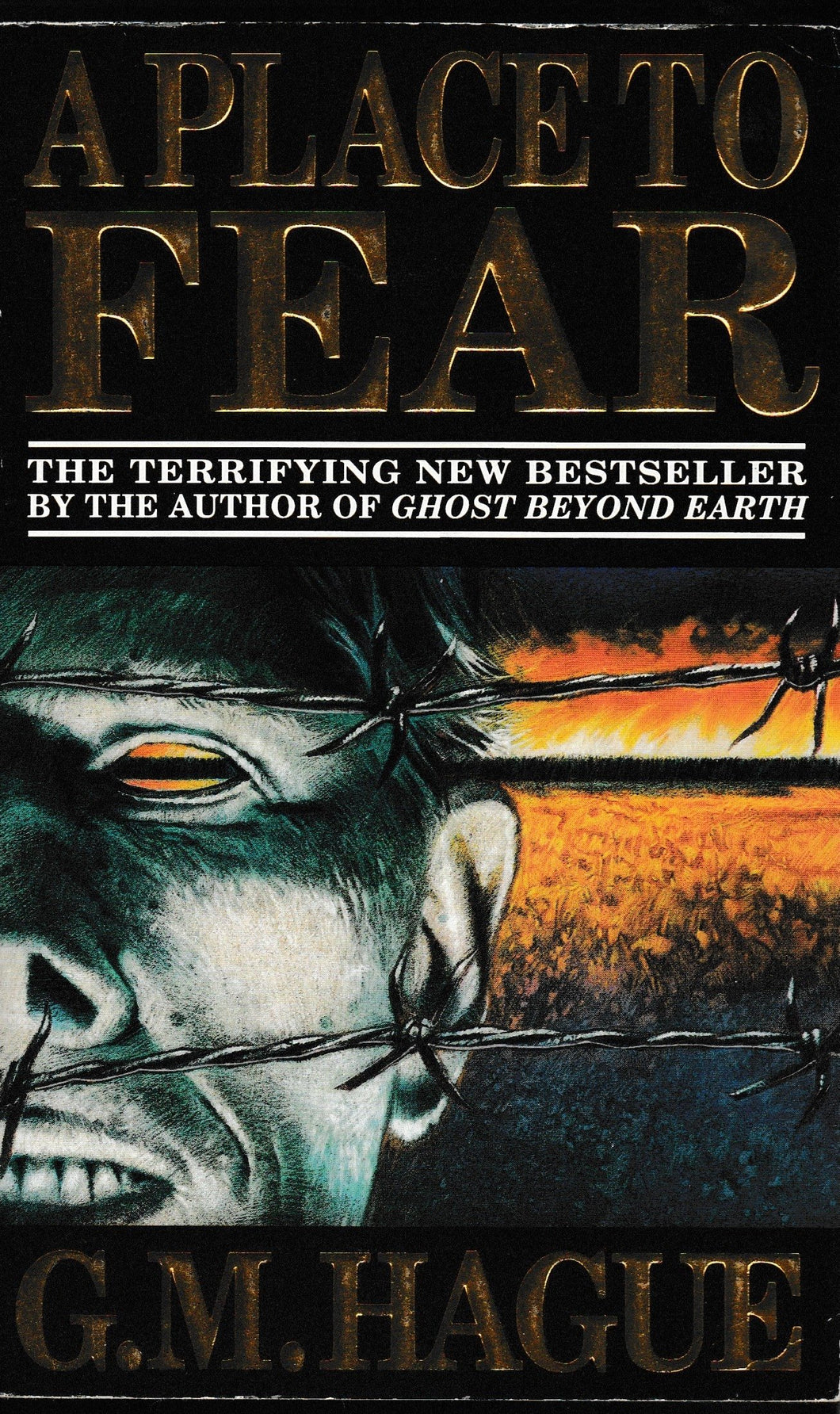 A Place To Fear [Paperback] Hague, GM