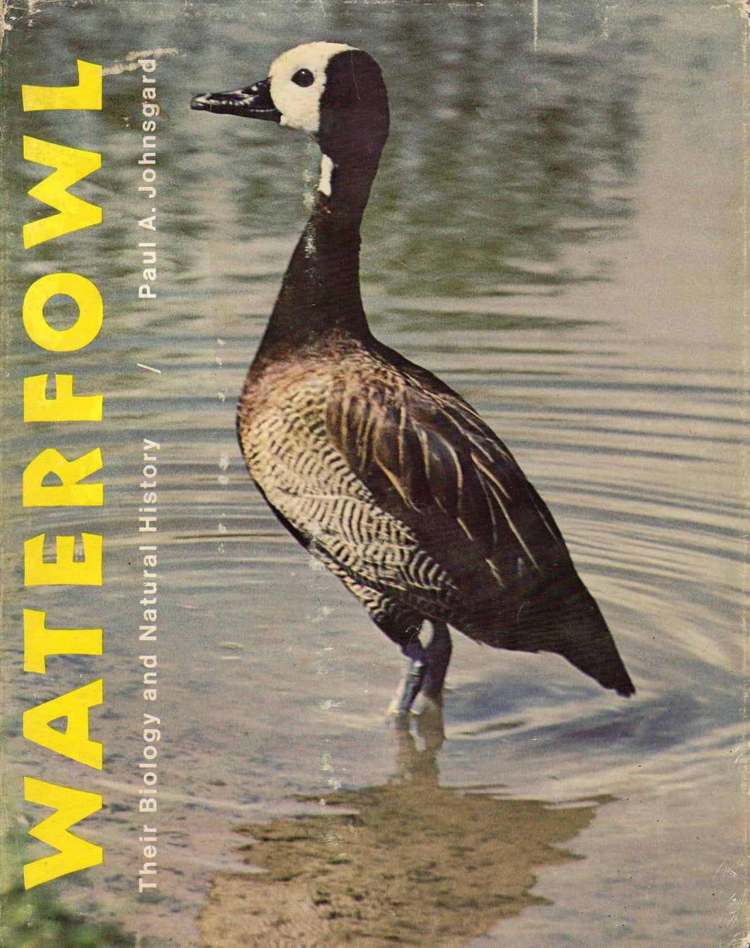 Waterfowl: Their Biology and Natural History