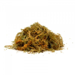 Sphagnum Moss - Jumbo - (2kg approximately enough for 3 x 14" hanging baskets)