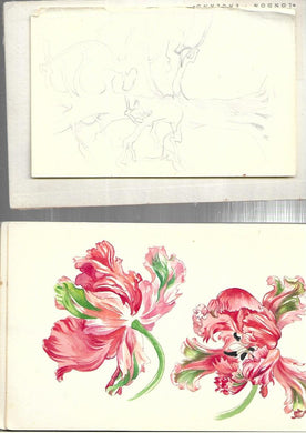 Rene Cloke - Personal Sketch Pad - Hardcover - Nature (4th)