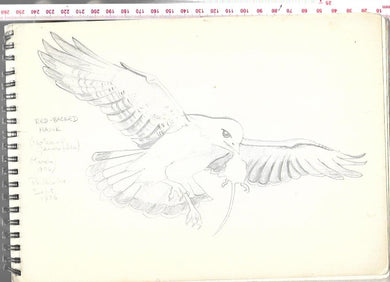 Rene Cloke - Personal Sketch Pad - Hardcover - Nature