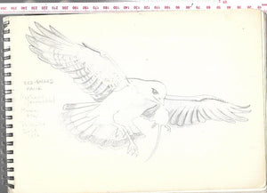 Rene Cloke - Personal Sketch Pad - Hardcover - Nature