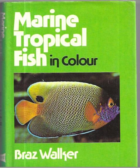Marine Tropical Fish in Colour