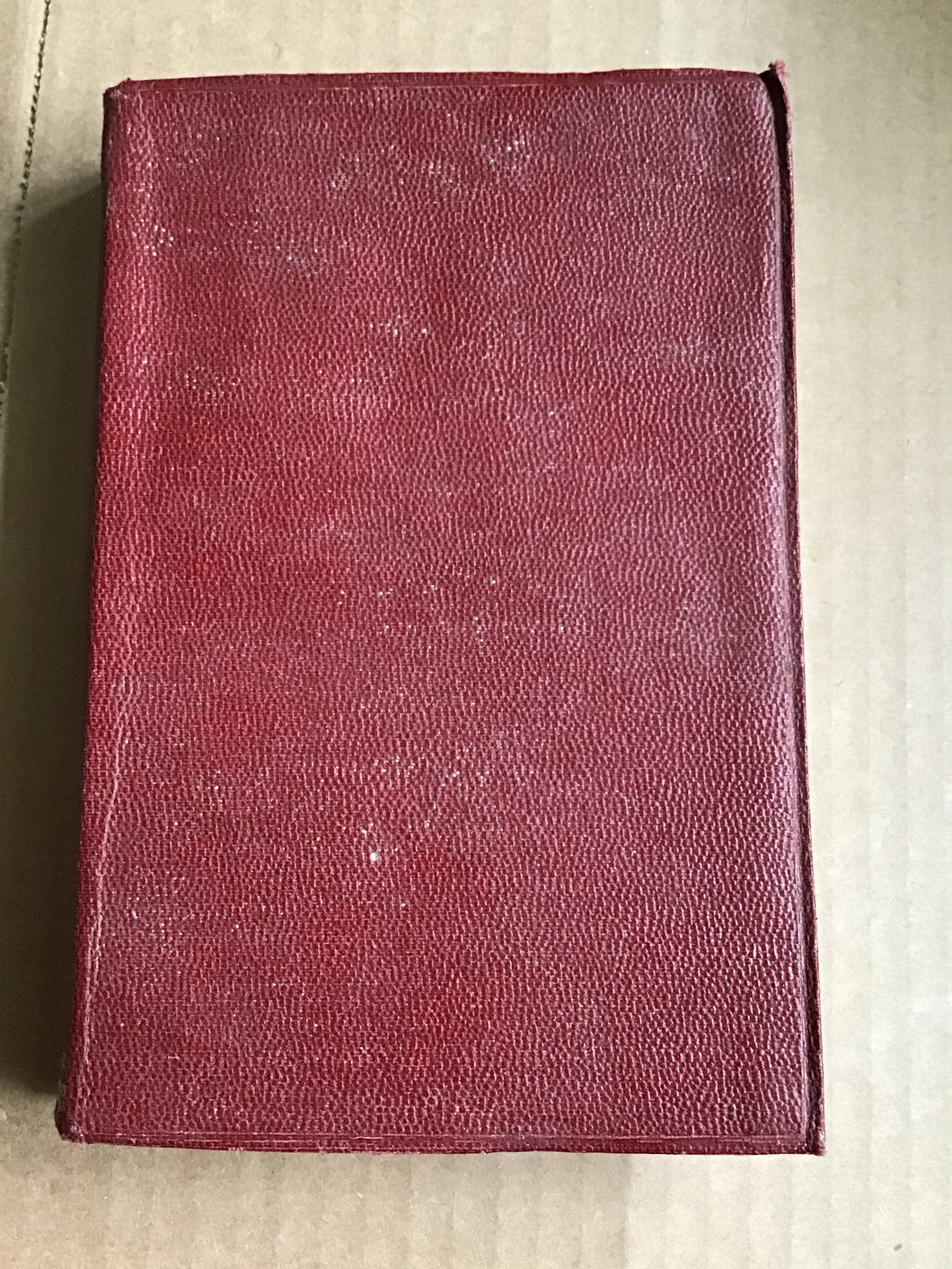 Children of the New Forest [Hardcover] Captain Marryat