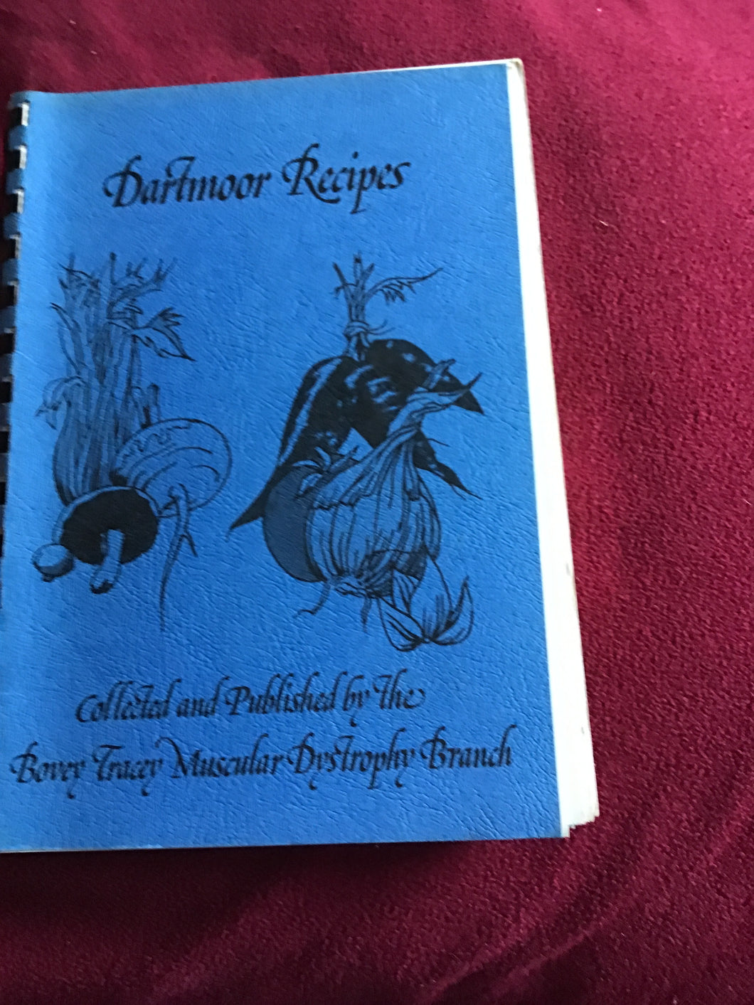 Dartmoor recipes a cookbook 1978 ringbound