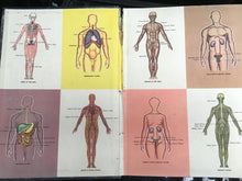 Load image into Gallery viewer, HEALTHY MINDS AND BODIES  YOUR GUIDE IN ALL MEDICAL MARRIAGE AND MOTHERHOOD PROBLEMS   DOCTOR T TRAHERNE  FRANK PRESTON  WAVERLEY BO0K COMPANY LTD  LONDON C1956
