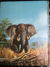 Load image into Gallery viewer, Edgar Rice Burroughs TARZAN Annual Published 1968
