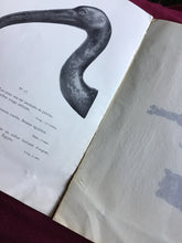 Load image into Gallery viewer, ANTIQUITÉS  ÉGYPTIENNES  GRECQUES &amp; ROMAINES  PARIS 1913 - Auction Catalogue. Paperback.
