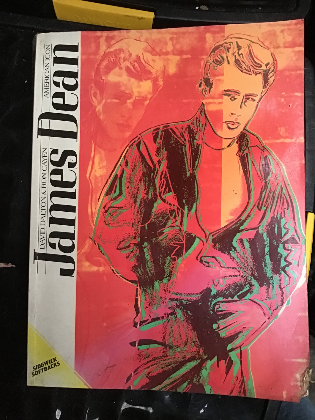 JAMES DEAN  AMERICAN ICON  Text by David Dalton  Photo Editor Ron Cayen  SIDGWICK &JACKSON LONDON