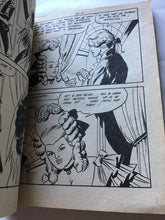 Load image into Gallery viewer, DE SADE  27  Het slappe geheim van Lodewijk - paperback. Strip voor  volwassenen
