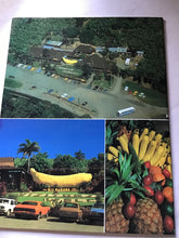 Load image into Gallery viewer, The holiday coast of New South Wales. Forster Tuncurry to Tweed heads
