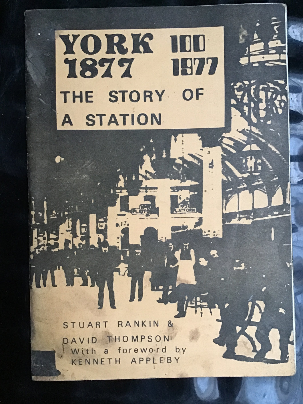 Peaks and Plains by Rail (By rail series) Paperback – 1 Jan. 1989 by Andrew MacFarlane