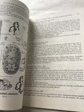 Load image into Gallery viewer, SUBLITTORAL NUDIBRANCH MOLLUSCA  (SEA SLUGS) IN PEMBROKESHIRE WATERS  By  PETER HUNNAM  Dale Frt Fld Cstre  and  GREG BROWN
