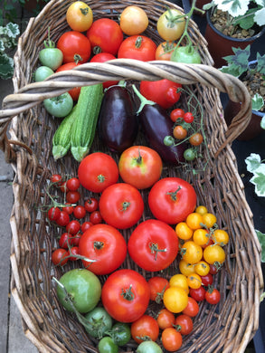 Successful Fruit and Vegetable Growing Hardcover â€“ 1 Sept. 1978